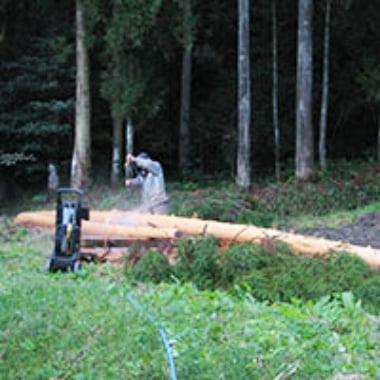 限りある森林の危機